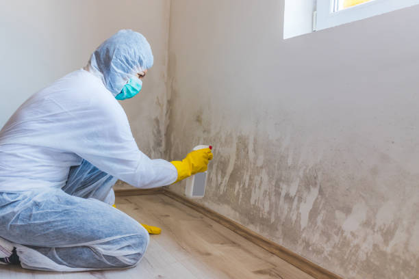 Best Asbestos and Lead Testing During Mold Inspection  in Vander, NC