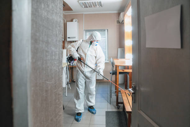 Best Water Damage & Mold Remediation  in Vander, NC