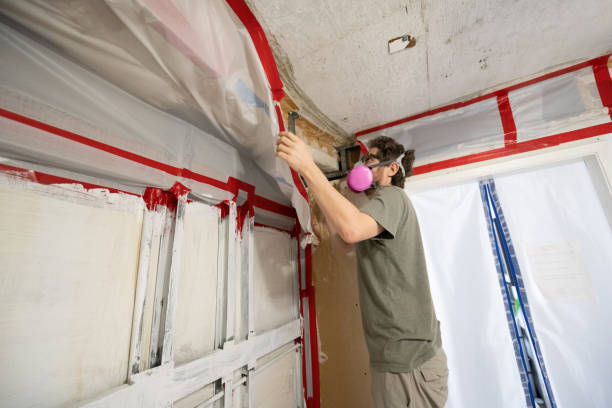Vander, NC Mold Removal Company
