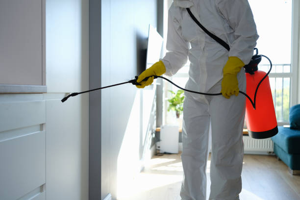 Best Emergency Mold Remediation  in Vander, NC