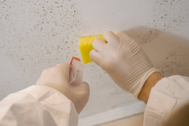 Mold Remediation for Rental Properties in Vander, NC
