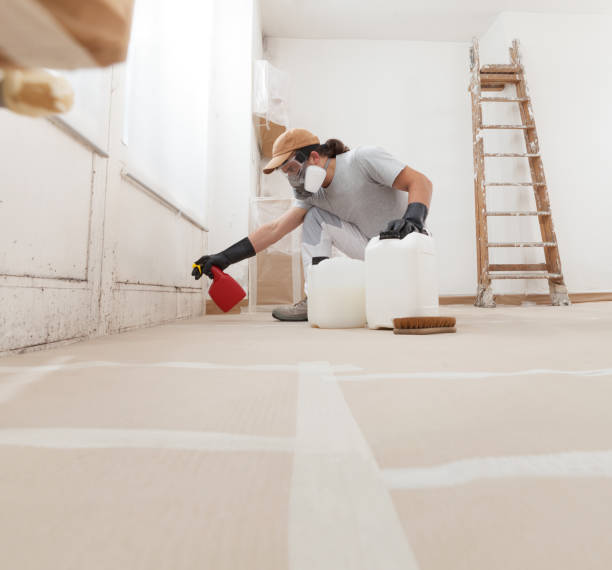 Best Airborne Mold Testing  in Vander, NC