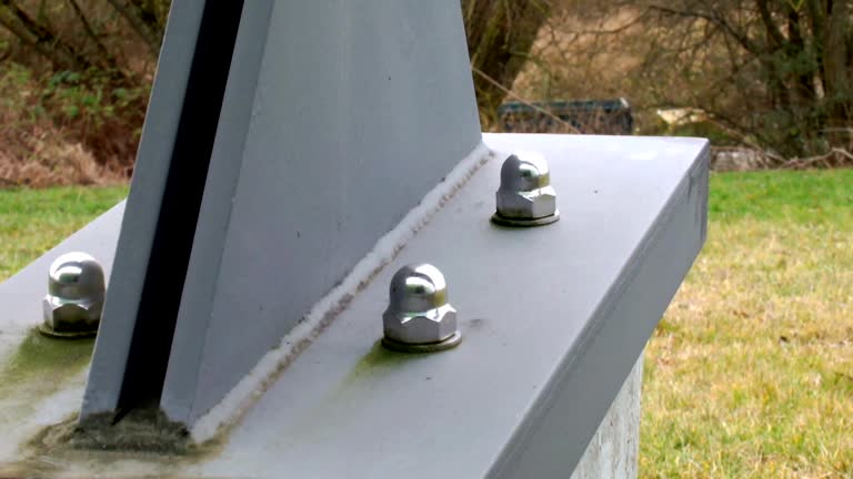 Best Forensic Mold Investigation  in Vander, NC